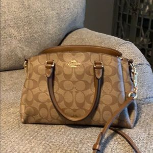 Coach Small Sage Handbag